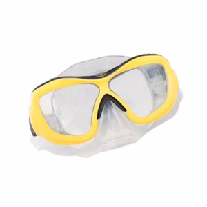 Dual Lens Mask