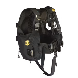 BCD